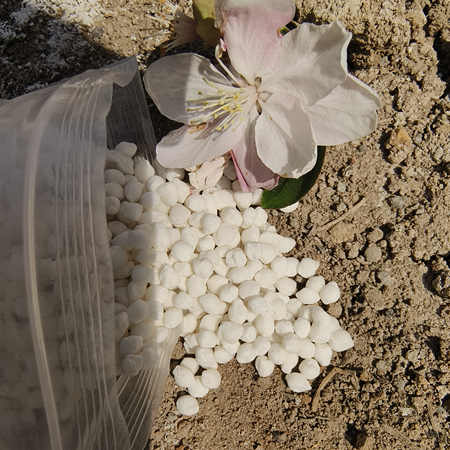 Ammonium sulphate fertiliser